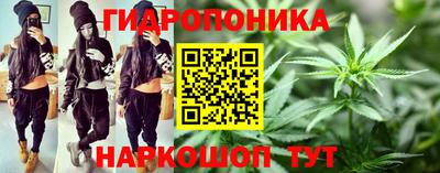 мяу мяу мука Сланцы
