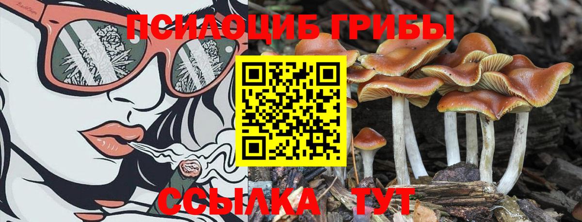 Марихуана  COCAIN  Alpha PVP СК кристаллы  Мефедрон кристаллы  COCAIN  Прохладный  ГАШ  Вейп ТГК  Вход с VPN  Купить  Экстази 