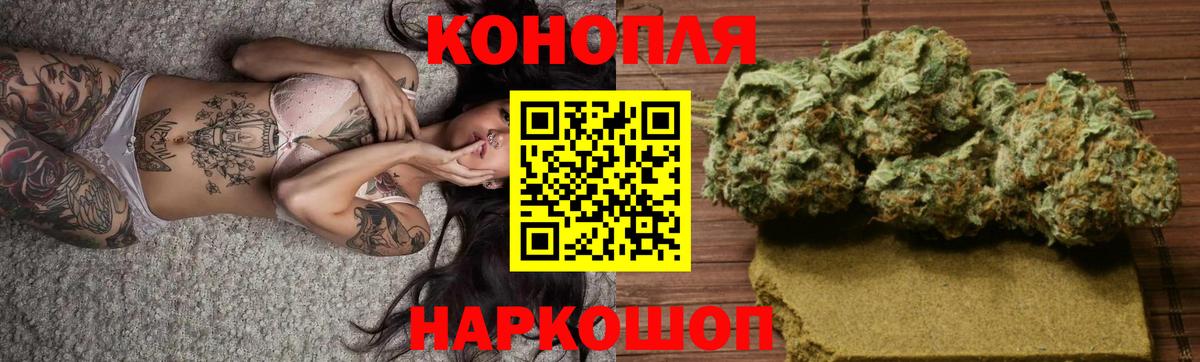 Каннабис планчик Прохладный