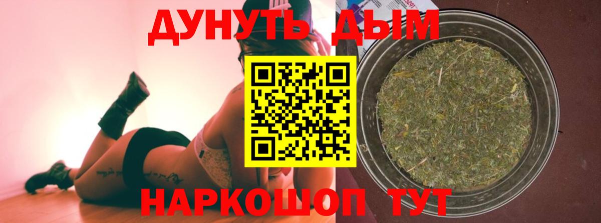 Прохладный  Конопля Amnesia  Вход с VPN  Шишки марихуана планчик  Каннабис индика 